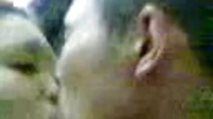 Varázslatos szex egy tündérrel. pornó punci