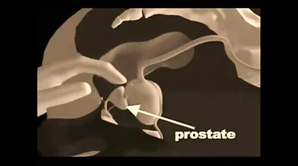 Egy gazdag férfi spriccelos punci tűsarkúban dörömböl egy nyurga úrnőt.