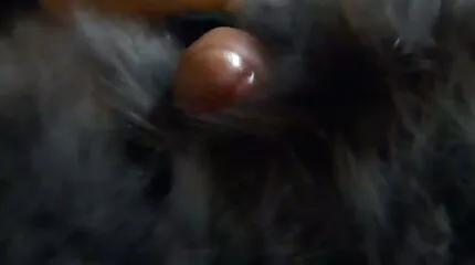 A punci meglesve bilincsben lévő titkárnőt puncikkal együtt verték.